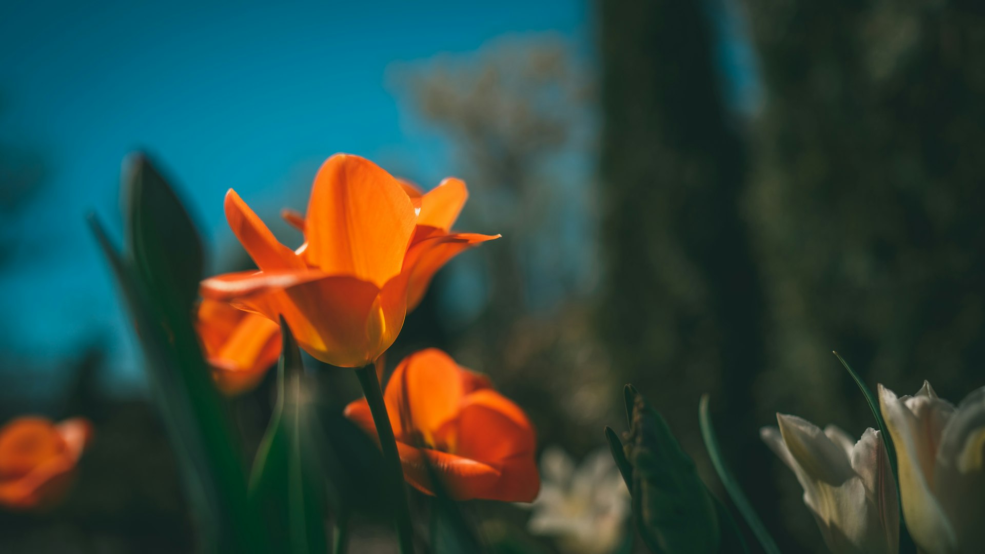 Concrete pouring construction work
